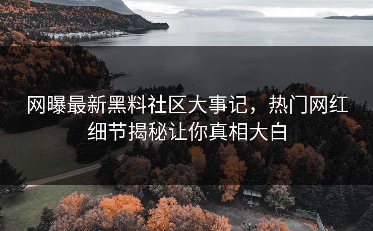 网曝最新黑料社区大事记，热门网红细节揭秘让你真相大白