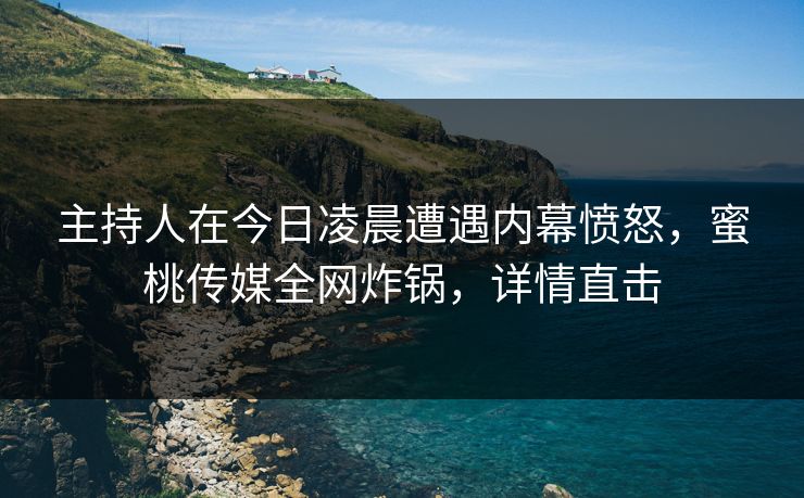 主持人在今日凌晨遭遇内幕愤怒，蜜桃传媒全网炸锅，详情直击
