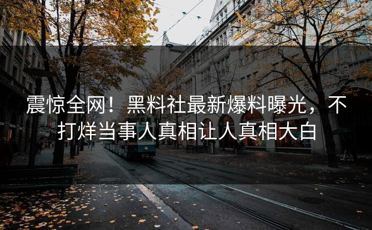 震惊全网！黑料社最新爆料曝光，不打烊当事人真相让人真相大白