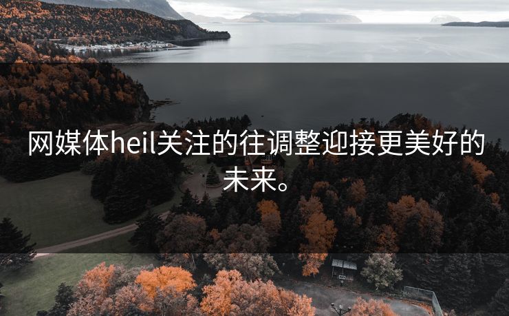 网媒体heil关注的往调整迎接更美好的未来。