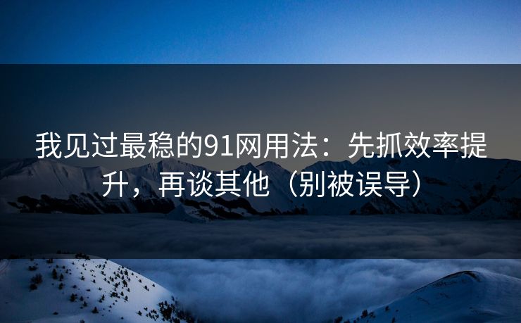 我见过最稳的91网用法：先抓效率提升，再谈其他（别被误导）